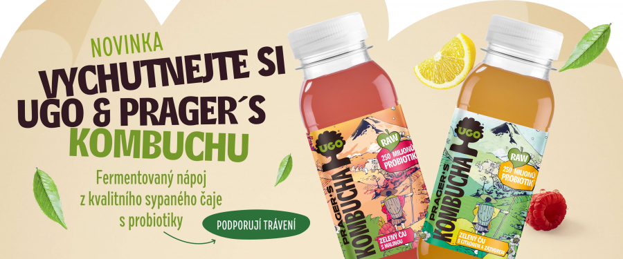UGO Kombucha se zeleným čajem