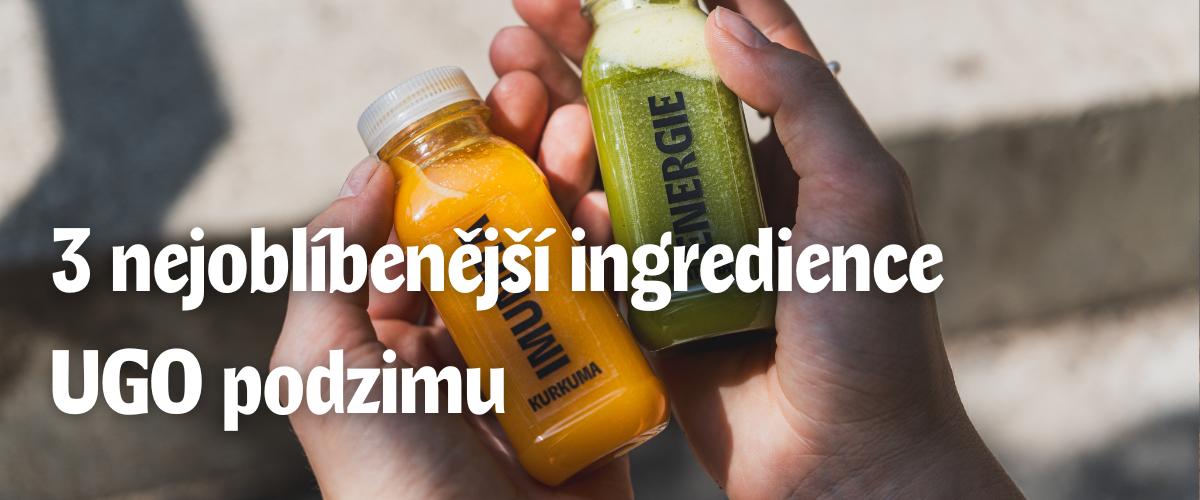 Čerstvý UGO salát se sýrem a zálivkou